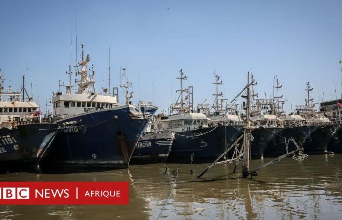 What we know about the non-renewal of the fishing agreement between Senegal and the EU