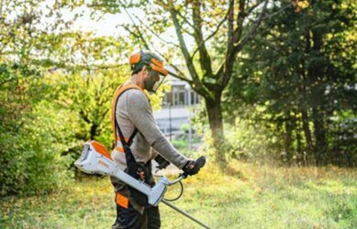 Powerful STIHL radio work leads to doubling of awareness (+81%)