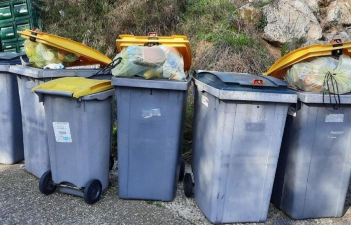 Five municipalities in Greater Avignon change waste collection days