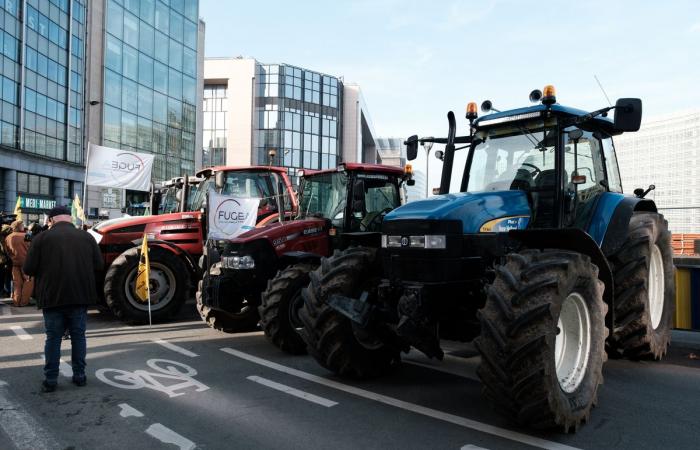 farmers denounce the EU-Mercosur treaty