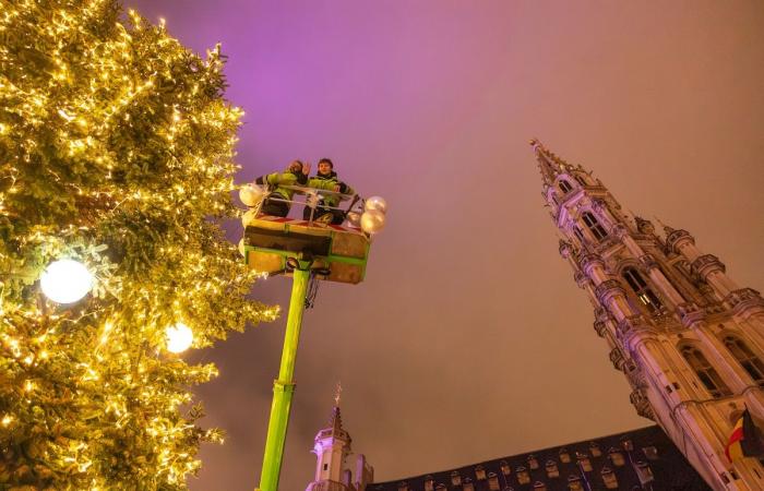 Elephants in the tree, rosé wine from the Var, giant cactus, new street and 2CV from De Funès: 5 things to know about the 2024 Winter Fun in Brussels