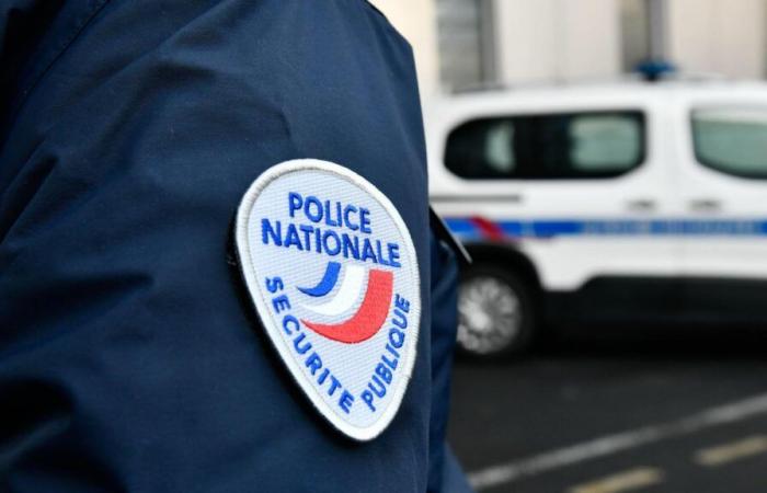 Nanterre: a man hit by a train following an incident with RATP agents