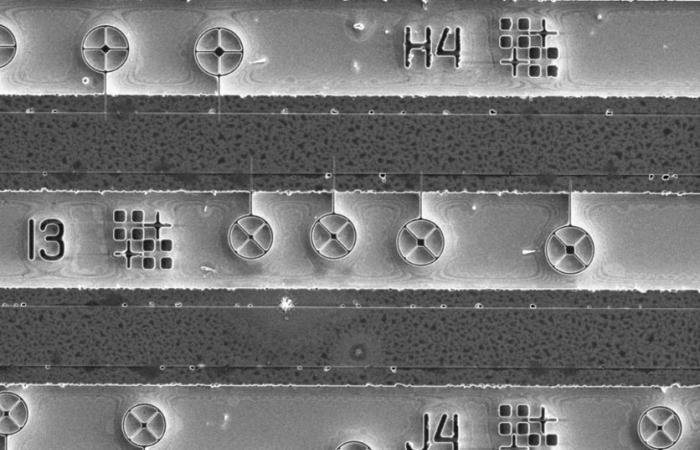 Quandela, CNRS, Paris-Saclay University and Paris Cité University together to accelerate research and innovation in quantum photonics