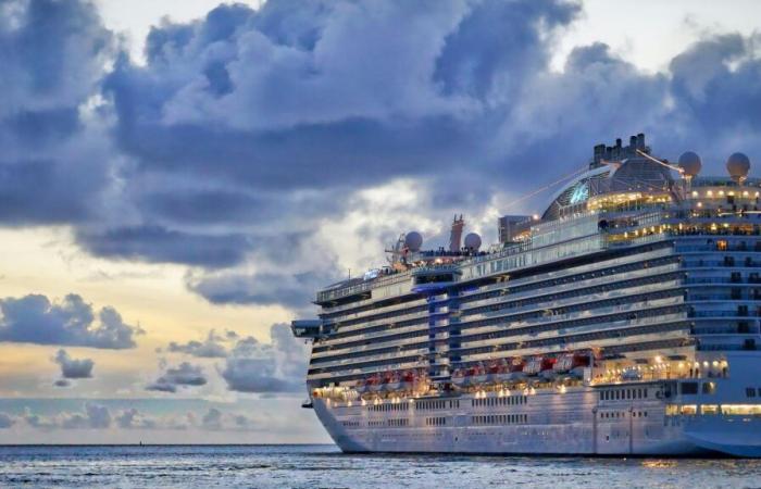 To escape Donald Trump’s mandate, a company offers a four-year cruise