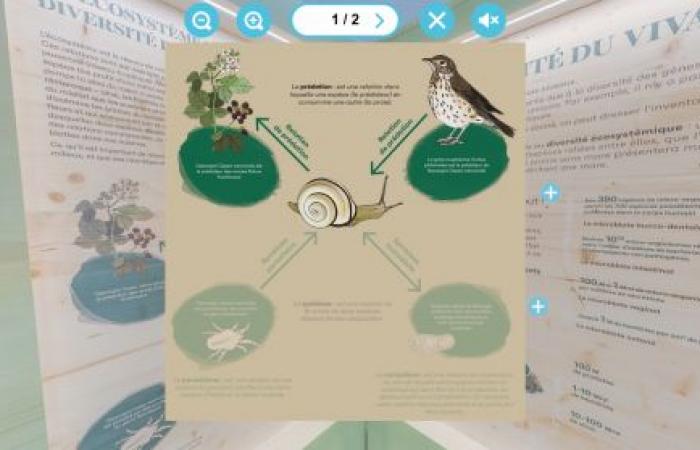 A virtual exhibition to understand the links between climate and biodiversity