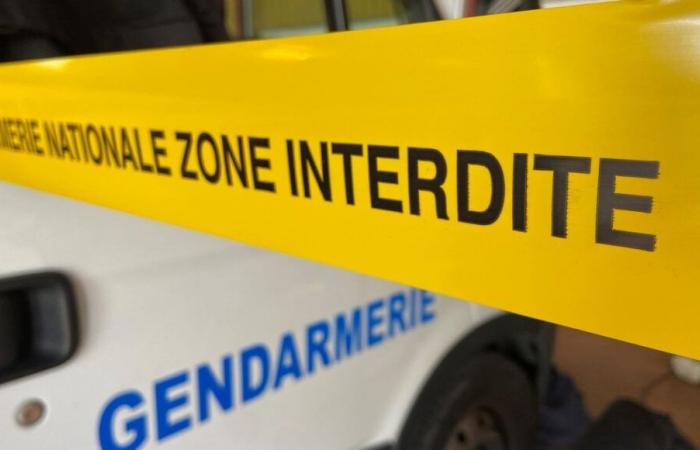 Children killed in Taninges: the body found in Switzerland is indeed that of their mother, the investigation continues