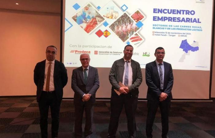 Tangier: Spanish red meat professionals explore partnership opportunities