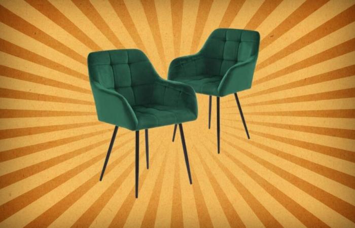 ManoMano is on fire and offers a set of very original chairs at hot prices