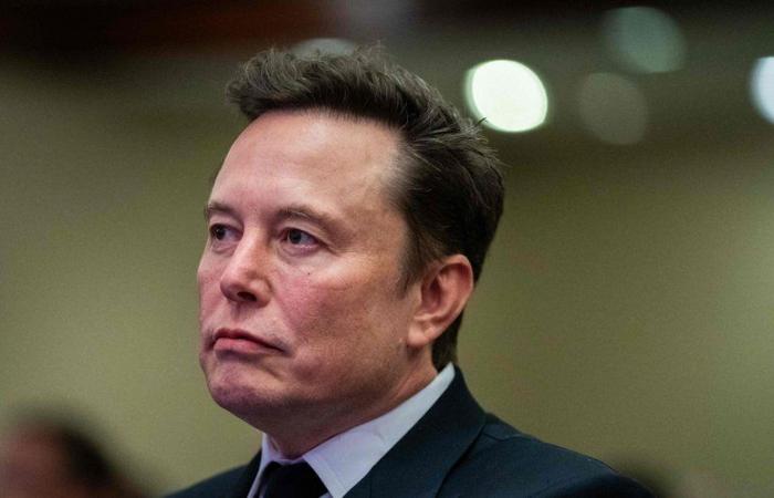 TRUE OR FALSE. Is Elon Musk an imposter? Plagiarism, exaggerations… Why his detractors see him as a disastrous manager