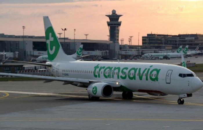 New air tax: pilots and employees of the sector demonstrate in Paris, traffic little disrupted