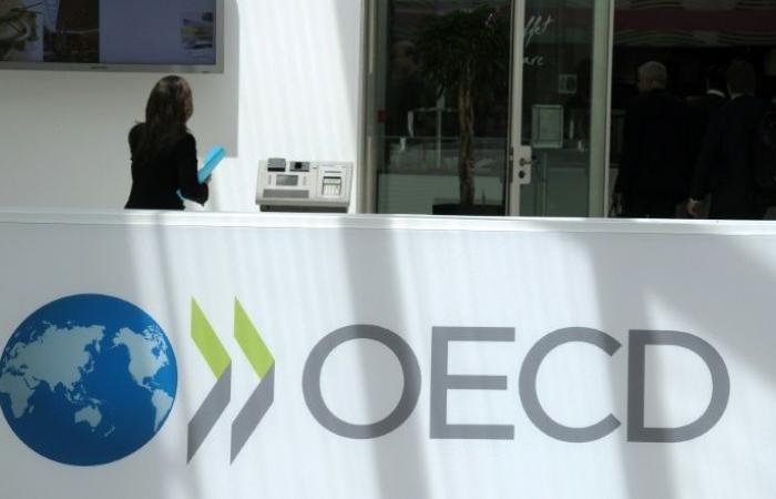 New records for migration flows and immigrant employment in 2023, according to the OECD