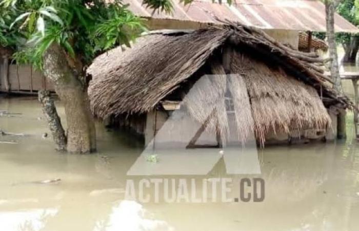 DRC: Weather forecasts announce risks of flooding in several regions until January 2025