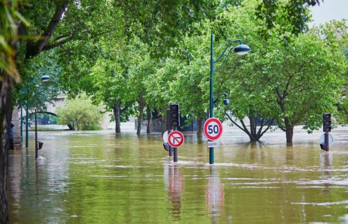 A natural (and radical) response to climate change and flooding in the UK