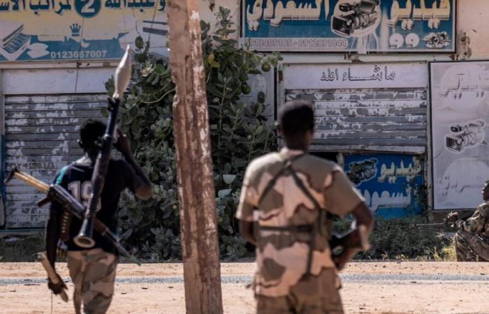 French military equipment spotted in Sudan, “in violation” of the arms embargo, denounces Amnesty International