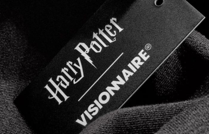 The Visionnaire brand, created by Bigflo and Oli, launches a Harry Potter clothing collection