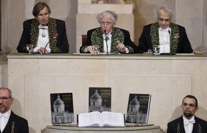 The brand new Dictionary of the French Academy already contested – rts.ch