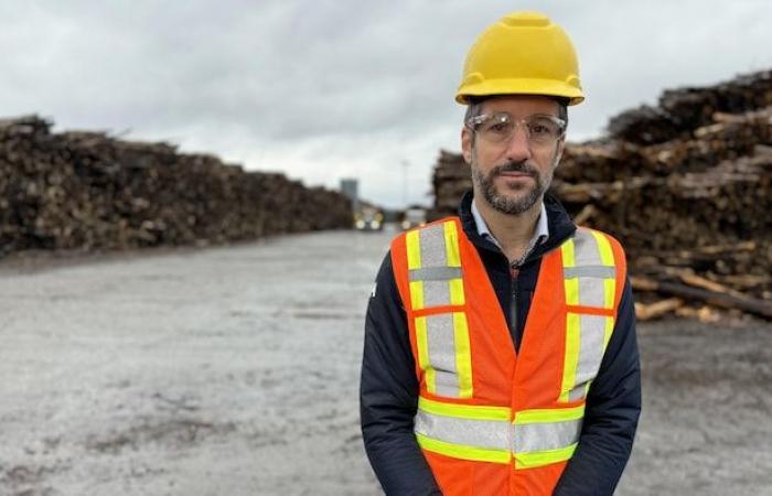 Donald Trump elected: “a risk of closing sawmills in Quebec”