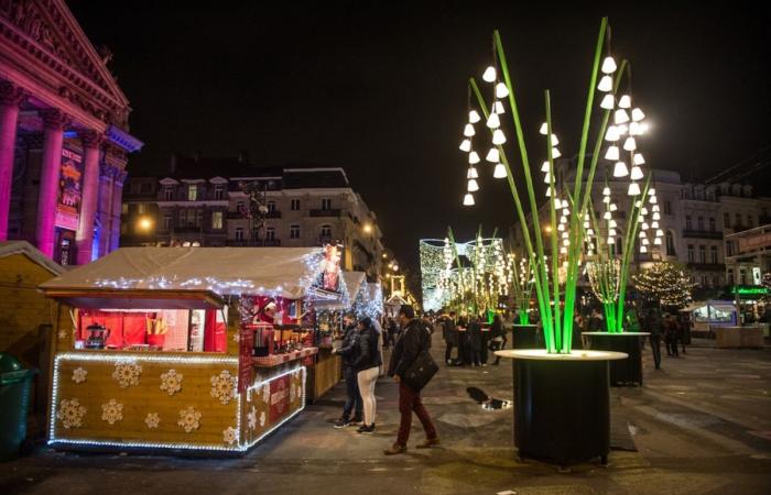 Elephants in the tree, rosé wine from the Var, giant cactus, new street and 2CV from De Funès: 5 things to know about the 2024 Winter Fun in Brussels