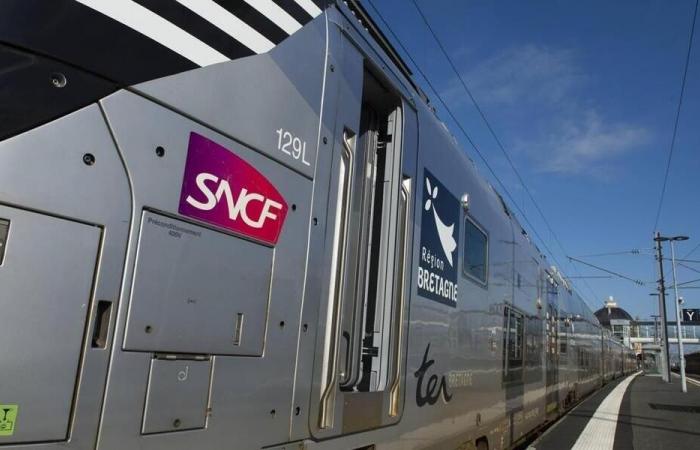 Catenary break on the Paris-Brest line: 150 passengers evacuated from a TGV in Finistère