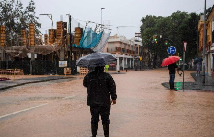 VIDEO. Floods in Spain: “extreme danger” in Malaga and Valencia… Spectacular images of the new bad weather hitting the country