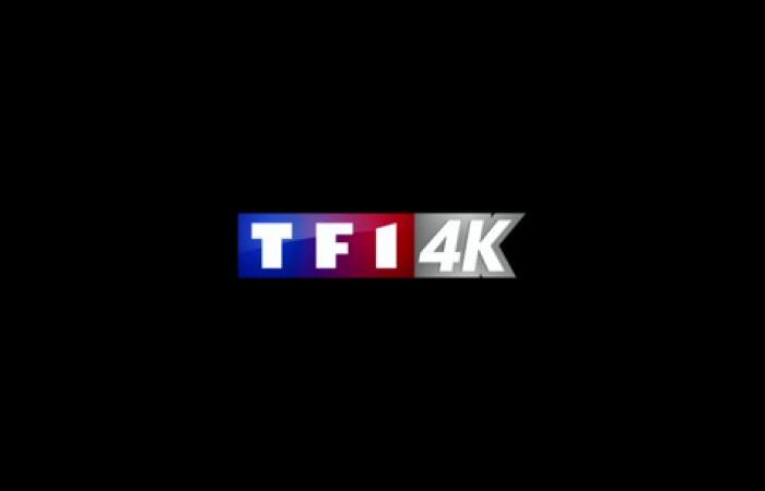 TF1 announces new 4K content which will be available in December on Freebox Mini 4K, Pop, One, Delta and Ultra