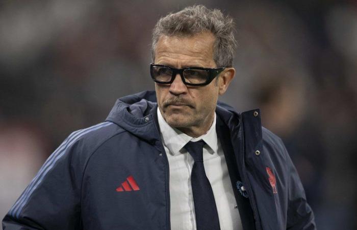 Direct. XV of France – Follow Fabien Galthié’s press conference and the announcement of the composition of the Blues for the clash against the All Blacks