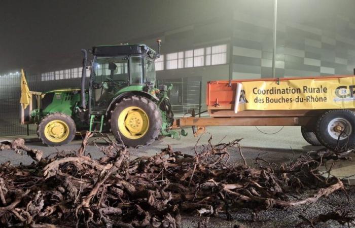 Mobilization of farmers in Bouches-du-Rhône: the Rousset LIDL platform blocked this Thursday morning