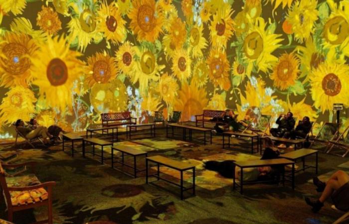 the incredible immersive exhibition dedicated to Van Gogh arrives in Lille