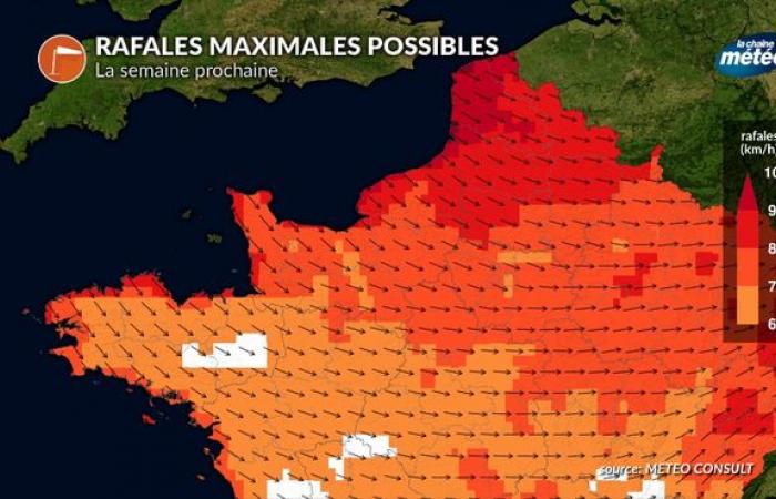 Risk of gale next week: the northwest under caution