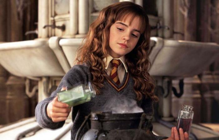 you become Minister of Magic if you get 5/5 on this quiz on Hermione Granger