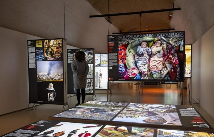 Château de Prangins: the best 2023 press photos on display