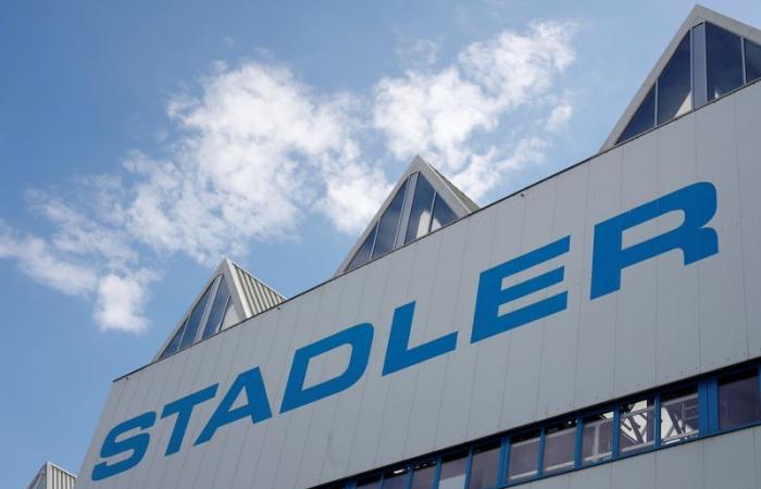 Train maker Stadler seeks to reassure investors after floods