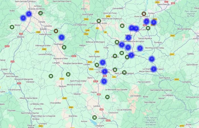 This worrying invasion of the Asian hornet in Haute-Loire