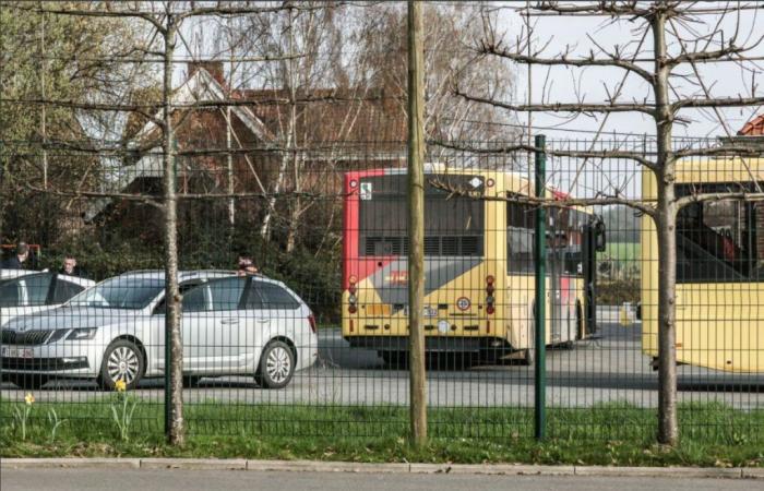 TEC strike disrupts bus services in Wallonia