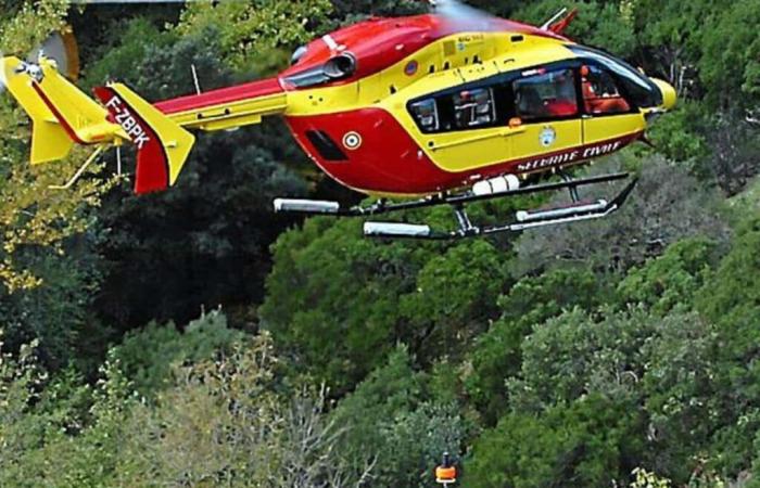 Gard: A 30-year-old hunter seriously injured by the charge of a wild boar and evacuated by helicopter