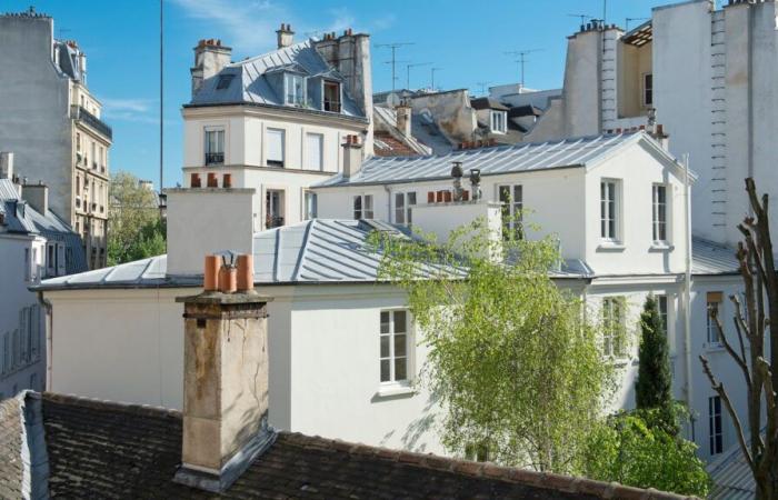 Michel Blanc's apartment in the Marais, “born to be an architect”