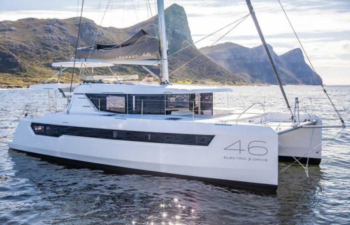 New: Leopard 46, a confident hybrid