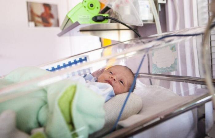 In 2023, France experienced an unprecedented drop in births since the end of the baby boom – Libération