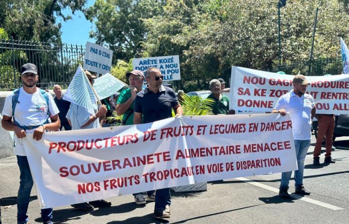 Food sovereignty in danger, Reunion farmers are mobilizing