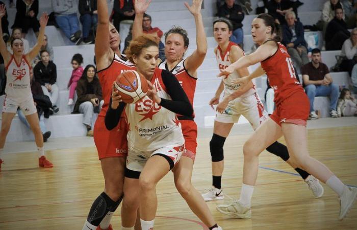 Amateur basketball – Women's National 2: Gimont will test himself in Deux-Sèvres against a team from Chauray who are aiming for advancement