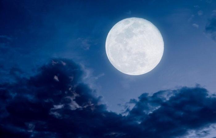 Don’t miss the full Beaver moon which will light up the sky on the night of November 15 to 16