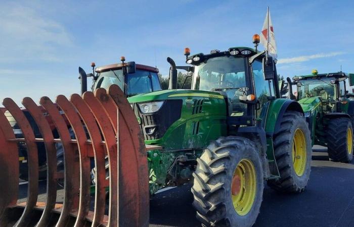 Agricultural mobilization against Mercosur from this Sunday, what to expect in the Marne and the Ardennes?