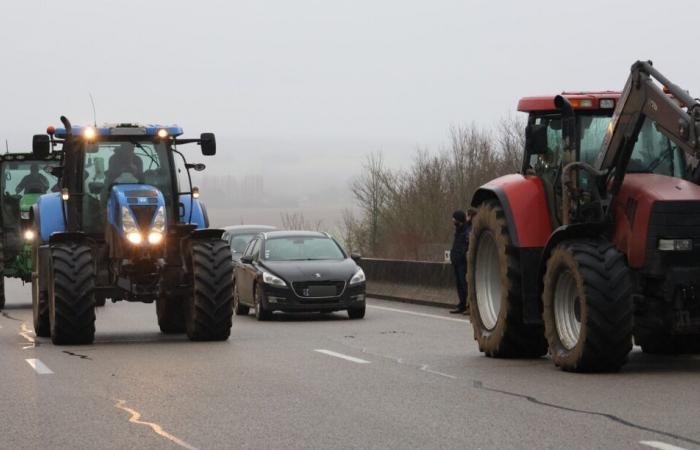 They do not want to die in silence, farmers announce a demonstration in Oise