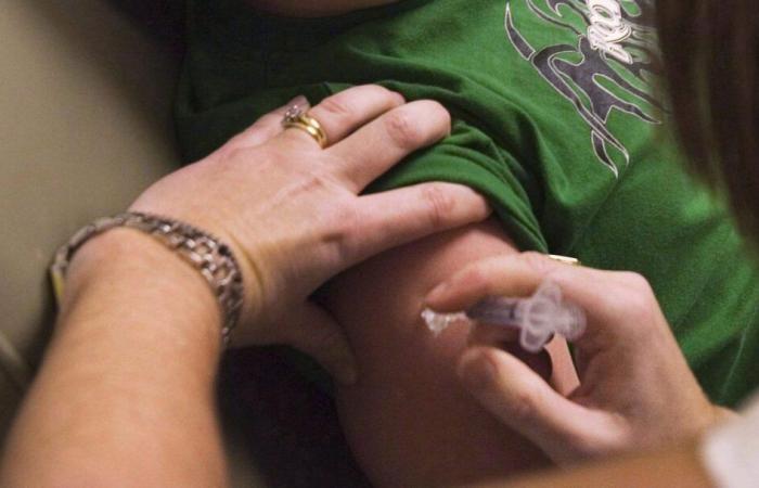 Vaccination rates are stable in New Brunswick