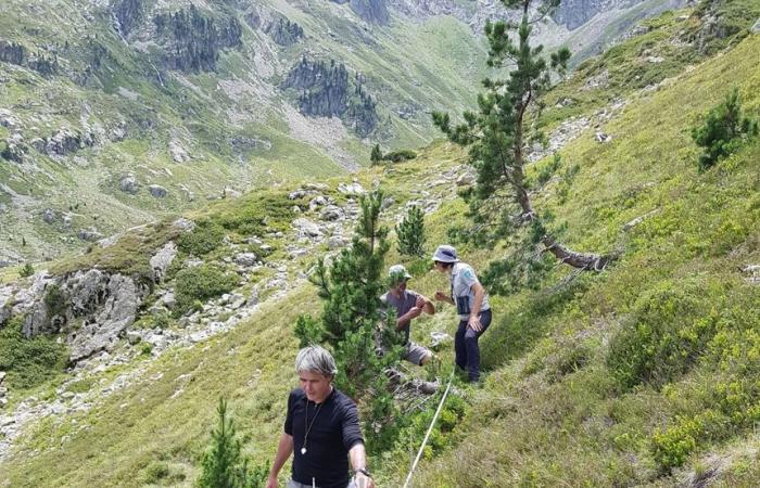 Last glaciers in the Pyrenees: chronicle of a death foretold