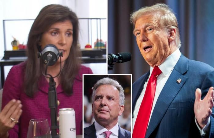 Nikki Haley claims she turned down ‘truce’ offer from Trump ally: ‘There’s nothing I want’