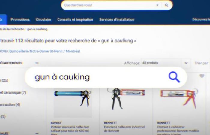 RONA renovates its French search engine