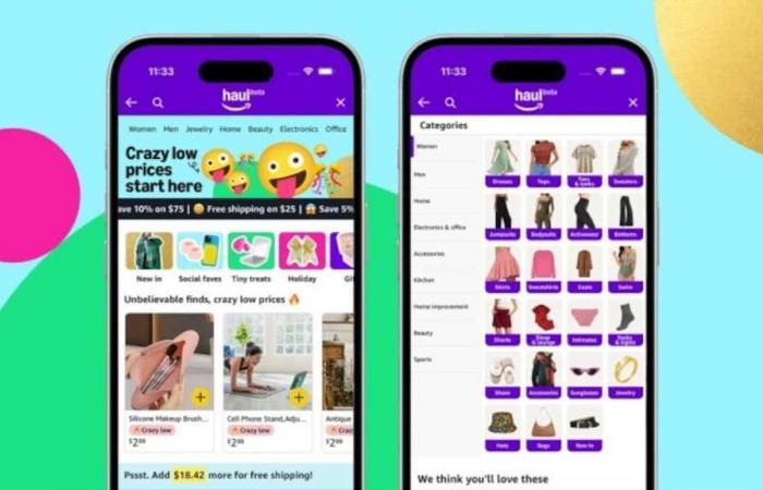 Amazon launches Haul, an application to compete with Temu and Shein: here’s what you need to know