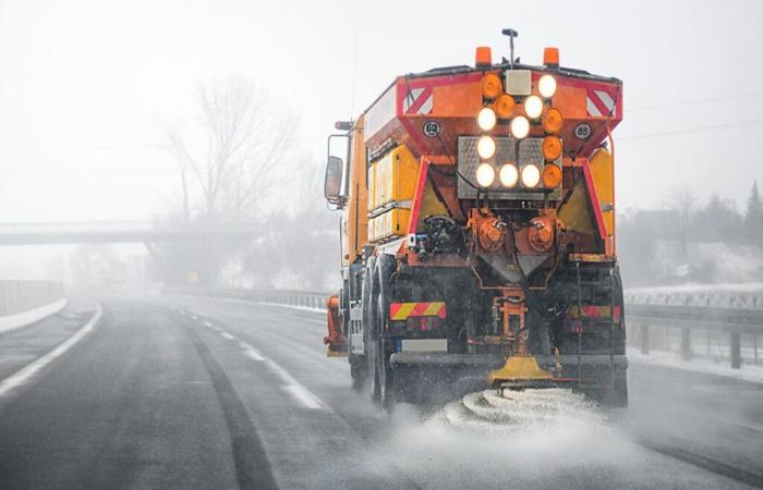 forecasts in France indicate the arrival of the first snowfall in the plains! Should we believe it?