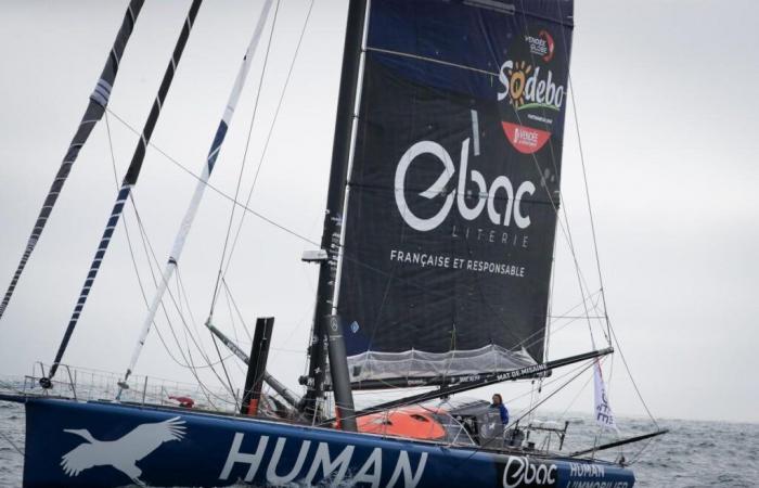 Video. Vendée Globe. Antoine Cornic “kisses the sea” for us, Violette Dorange is happy and in good shape